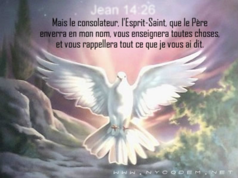 † L'Evangile au Quotidien † - Page 4 Esprit-saint